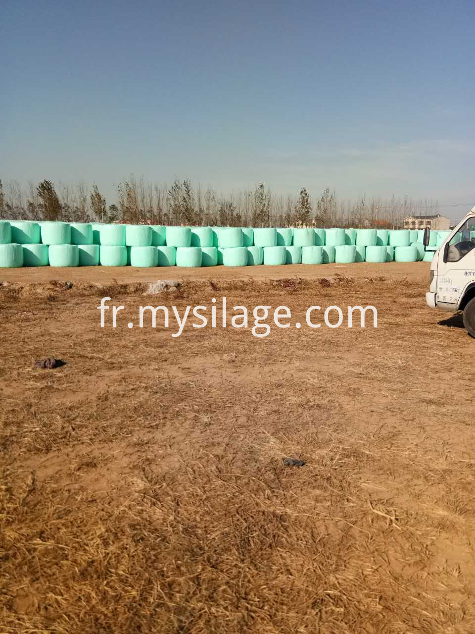 Botte d'emballage de maïs Corn Wrapping Bale